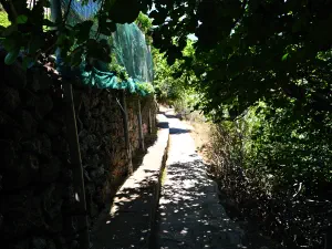 Epano Zakros Spring  - CRETE
