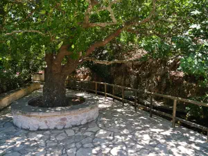Epano Zakros Spring  - CRETE