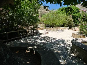 Epano Zakros Spring  - CRETE