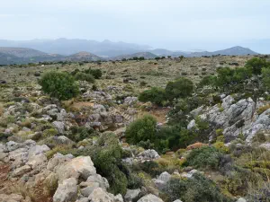 Gaidourotrypa Cave  - CRETE