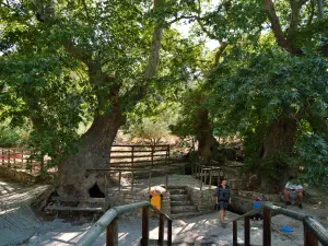 Kalamafka Springs  - CRETE