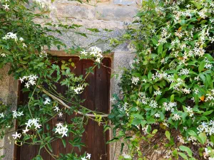 Kardamoutsa Monastery  - CRETE