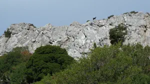 Katharo Plateau  - CRETE