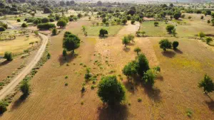 Katharo Plateau  - CRETE