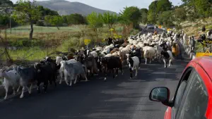 Katharo Plateau  - CRETE