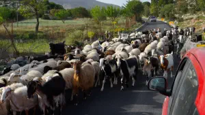 Katharo Plateau  - CRETE