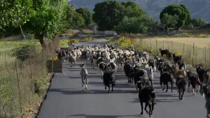 Katharo Plateau  - CRETE