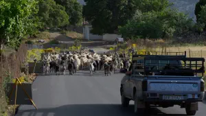 Katharo Plateau  - CRETE