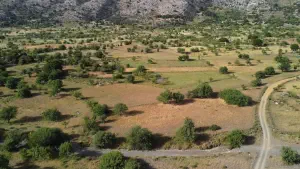 Katharo Plateau  - CRETE