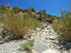 Kato Sarakina Gorge  - CRETE