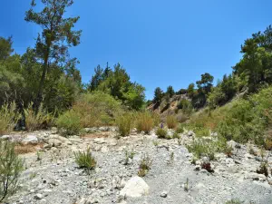 Kato Sarakina Gorge  - CRETE