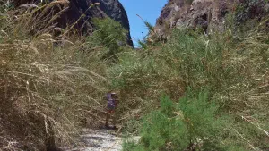 Kato Sarakina Gorge  - CRETE