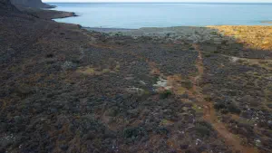 Katsounaki (Alona) Beach  - CRETE