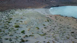 Katsounaki (Alona) Beach  - CRETE