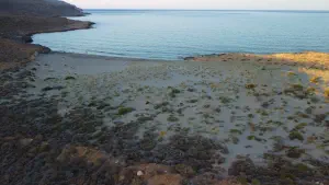 Katsounaki (Alona) Beach  - CRETE