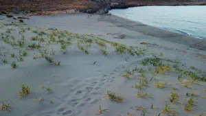 Katsounaki (Alona) Beach  - CRETE