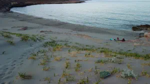 Katsounaki (Alona) Beach  - CRETE