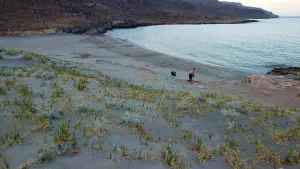 Katsounaki (Alona) Beach  - CRETE