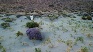 Katsounaki Sand Dunes  - CRETE