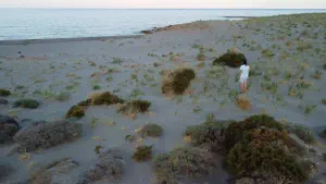 Katsounaki Sand Dunes  - CRETE