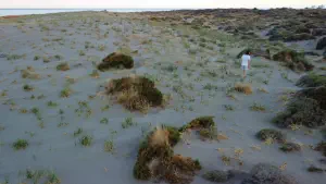 Katsounaki Sand Dunes  - CRETE