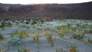 Katsounaki Sand Dunes  - CRETE