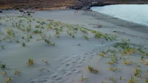 Katsounaki Sand Dunes  - CRETE