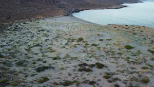 Katsounaki Sand Dunes  - CRETE
