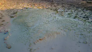 Katsounaki Sand Dunes  - CRETE