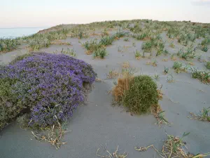 Katsounaki Sand Dunes  - CRETE