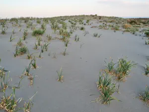 Katsounaki Sand Dunes  - CRETE
