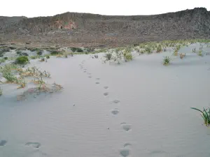 Katsounaki Sand Dunes  - CRETE