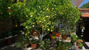 Koufi Petra Monastery  - CRETE