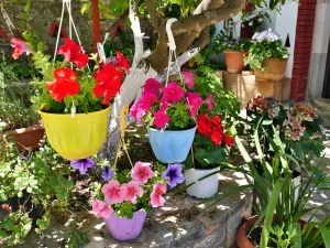 Koufi Petra Monastery  - CRETE