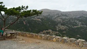 Kritsa Cypress Forest  - CRETE