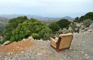 Kritsa Cypress Forest  - CRETE