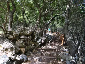Kronio Cave  - CRETE