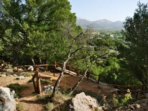 Kronio Cave  - CRETE