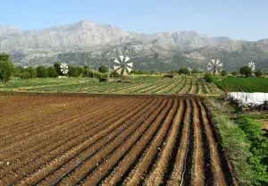 Lassithi Plateau  - CRETE