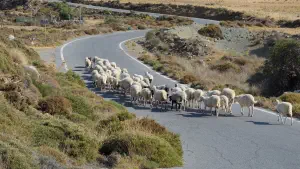 Livari Beach  - CRETE