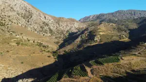 Mesonas Gorge  - CRETE