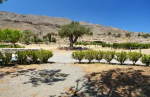 Minoan Palace of Kato Zakros  - CRETE