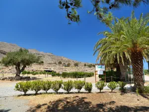 Minoan Palace of Kato Zakros  - CRETE