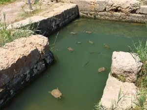 Minoan Palace of Kato Zakros  - CRETE