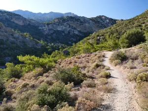 Mylonas Waterfall  - CRETE