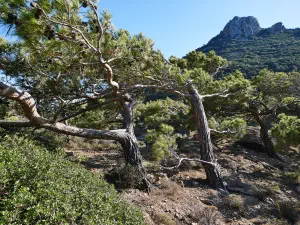 Mylonas Waterfall  - CRETE
