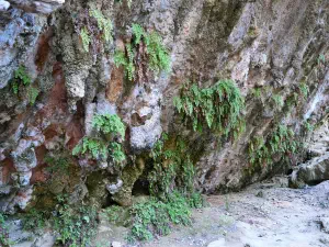 Mylonas Waterfall  - CRETE