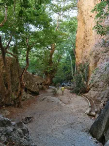 Mylonas Waterfall  - CRETE