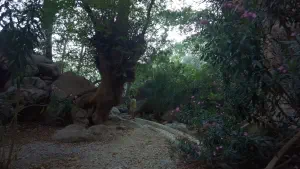Mylonas Waterfall  - CRETE