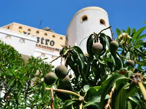 Myrtos Kastro Hotel  - CRETE